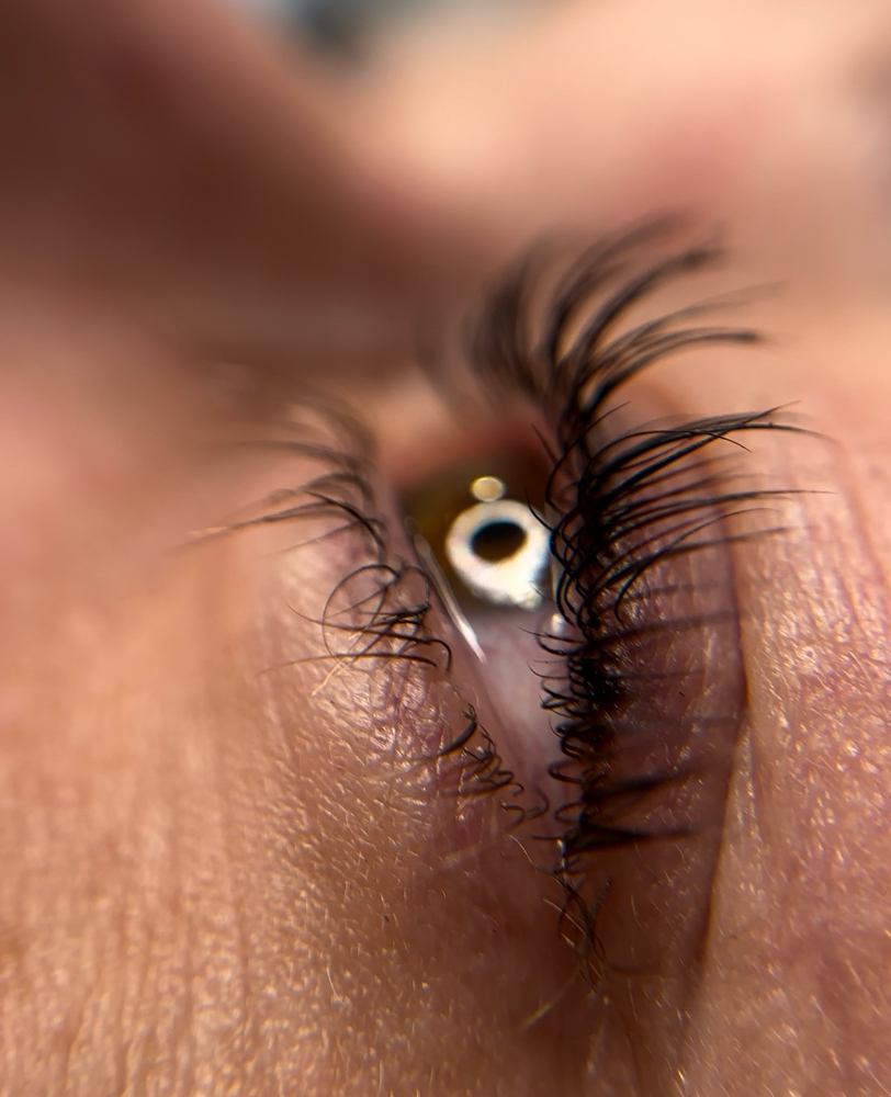 Lash Lift & Tint