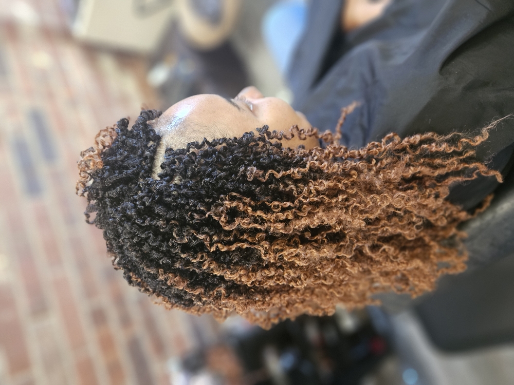 Crochet (Locs,braids,twists)