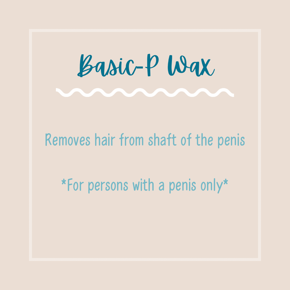 BASIC-P