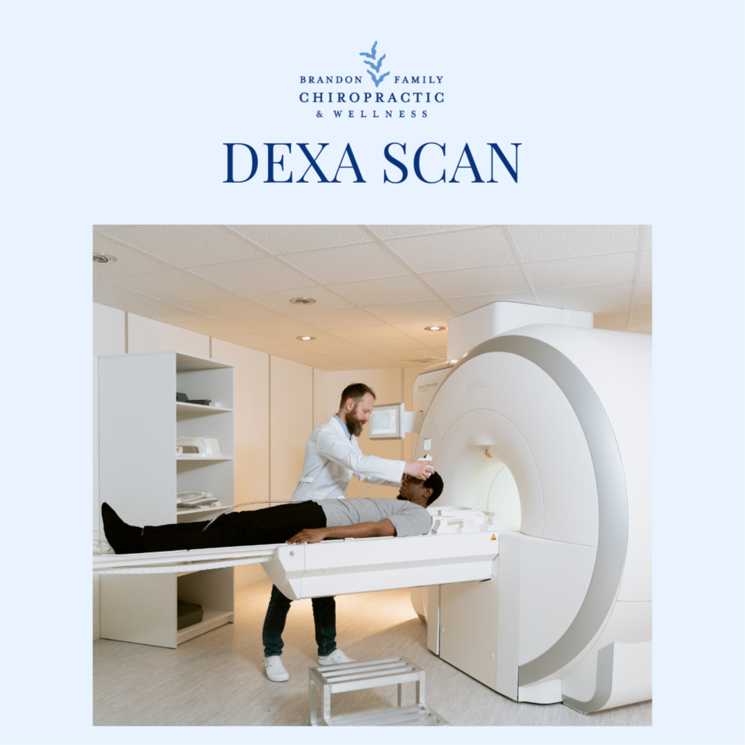 DEXA Body Composition Scan at Brandon Family Chiropractic & Wellness in BRANDON, MS