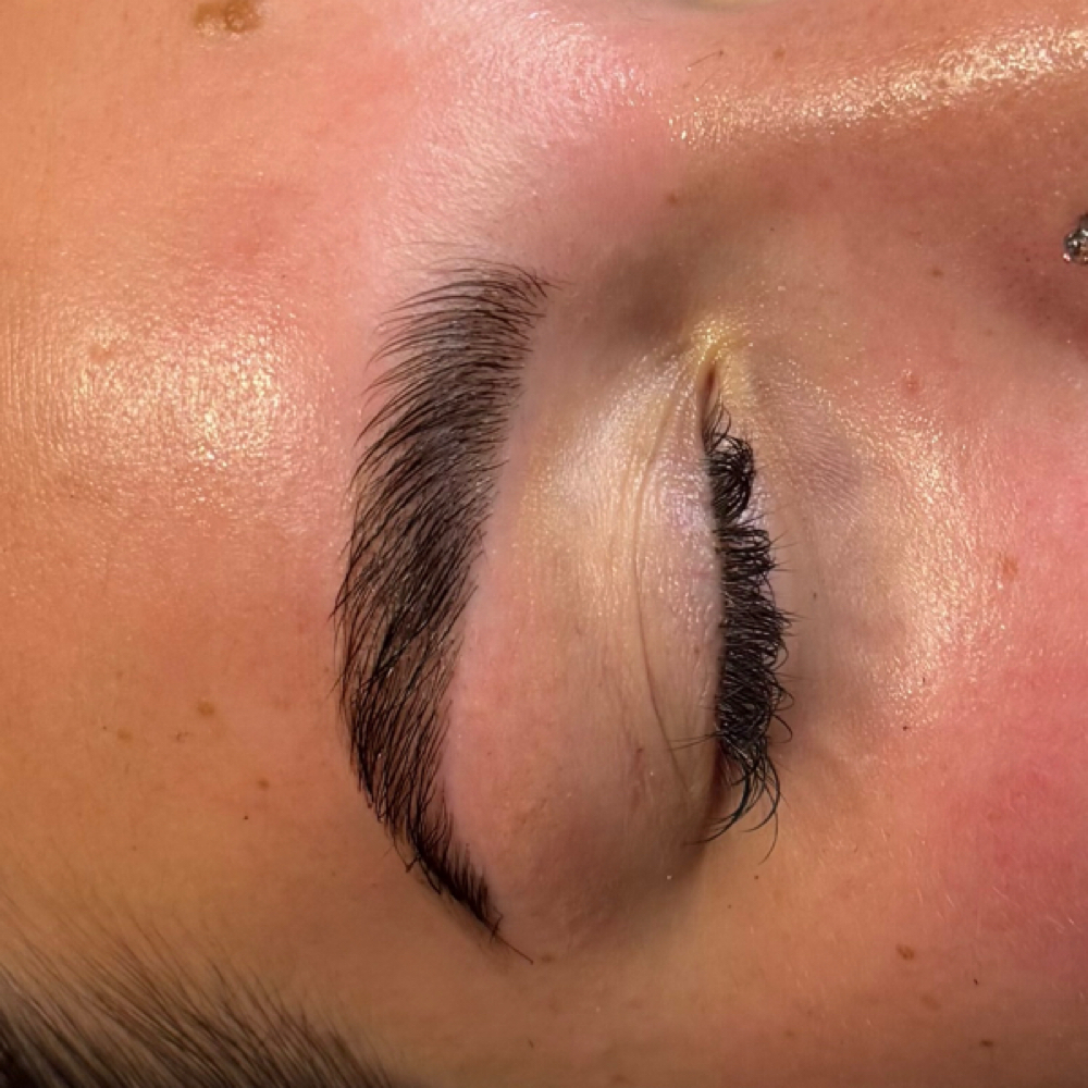 Brow Lamination&Wax at Volimé Esthetics in Haslett, MI