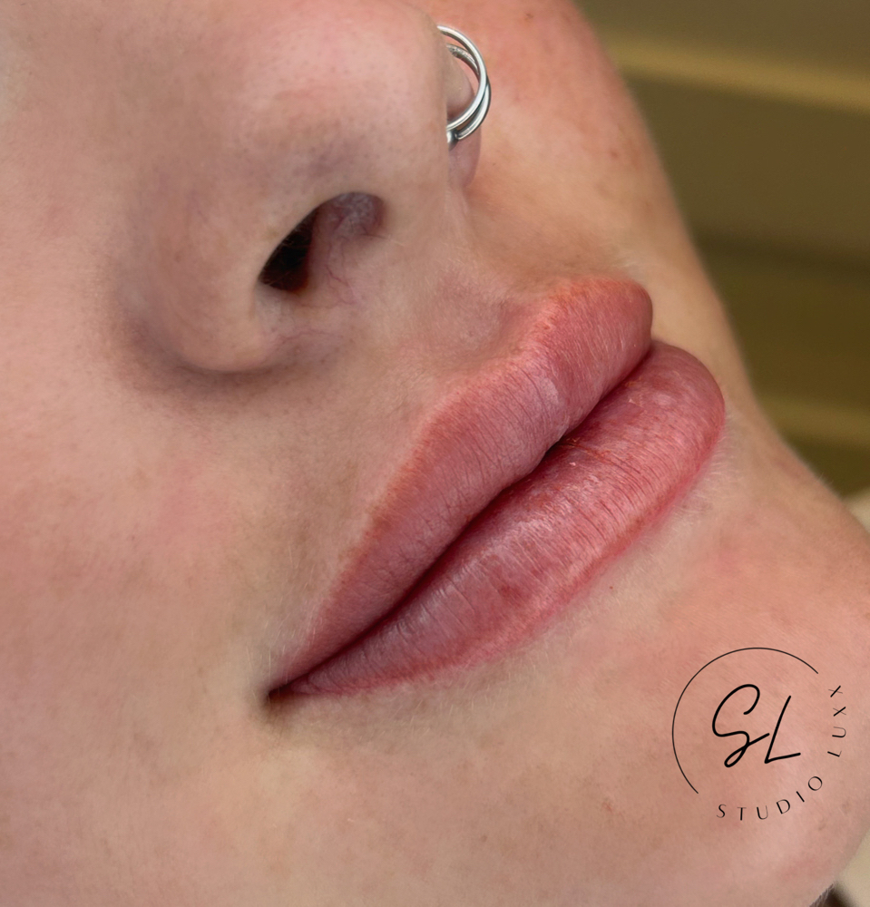 PMU Lip Blushing Consultation