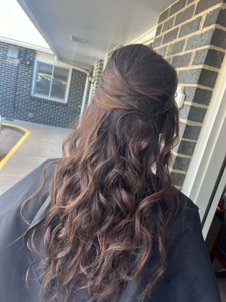Formal Style/Updo