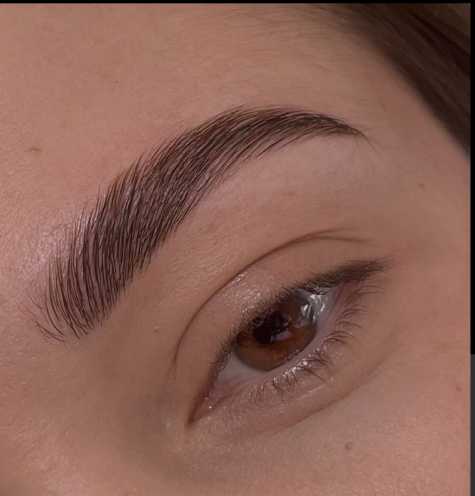 Brow Tint at EstheticsbyMilanea in Rockford, IL