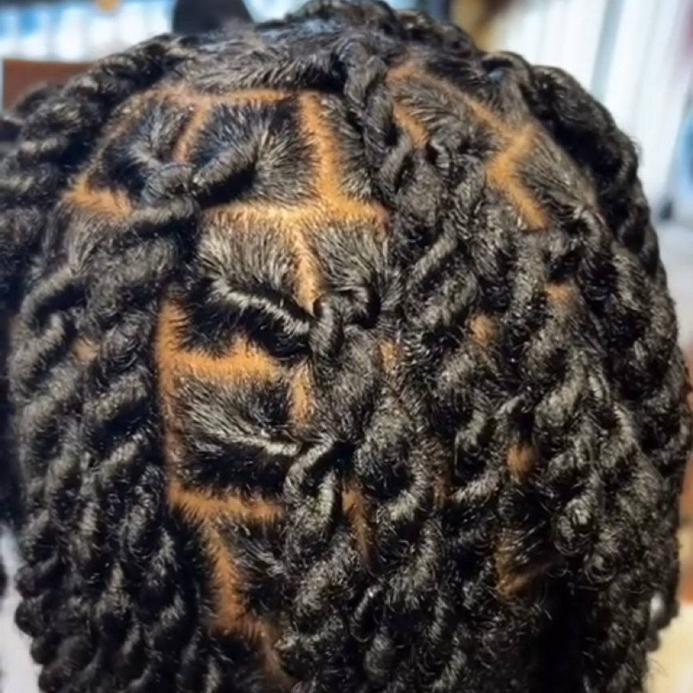 TWO-STRAND TWISTS (INCLUDES SHAMPOO