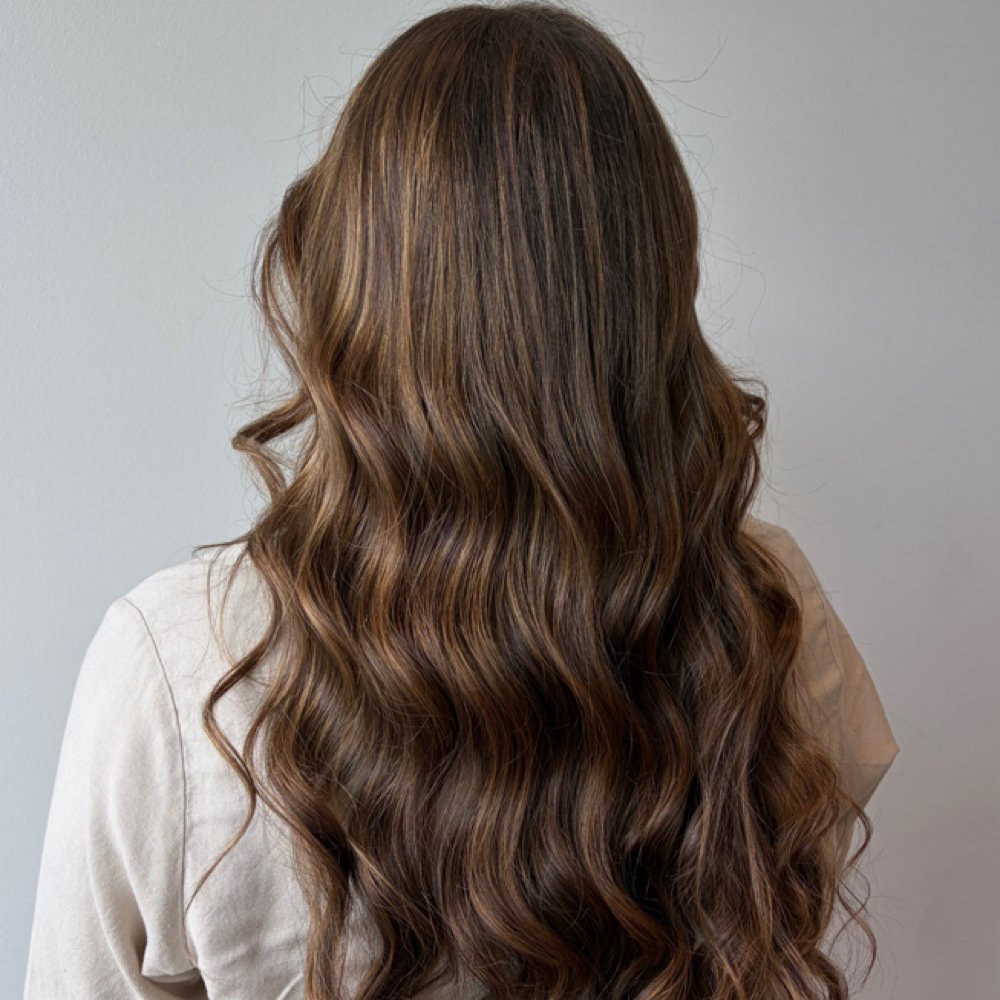 Balayage at Sophia  Herman in Saint Petersburg, FL