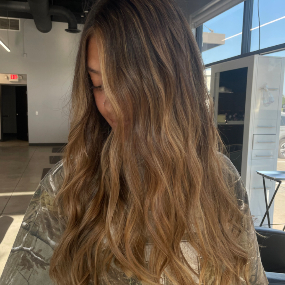 Balayage at Sophia  Herman in Saint Petersburg, FL