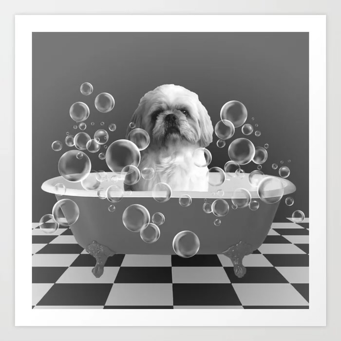 Bath And Tidy Up