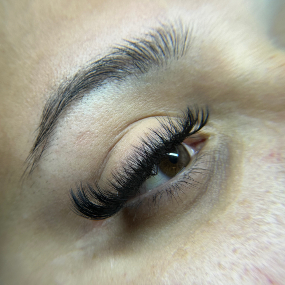 Volume Set Fill at The Empress Lash Bar & Studio in Richardson, TX