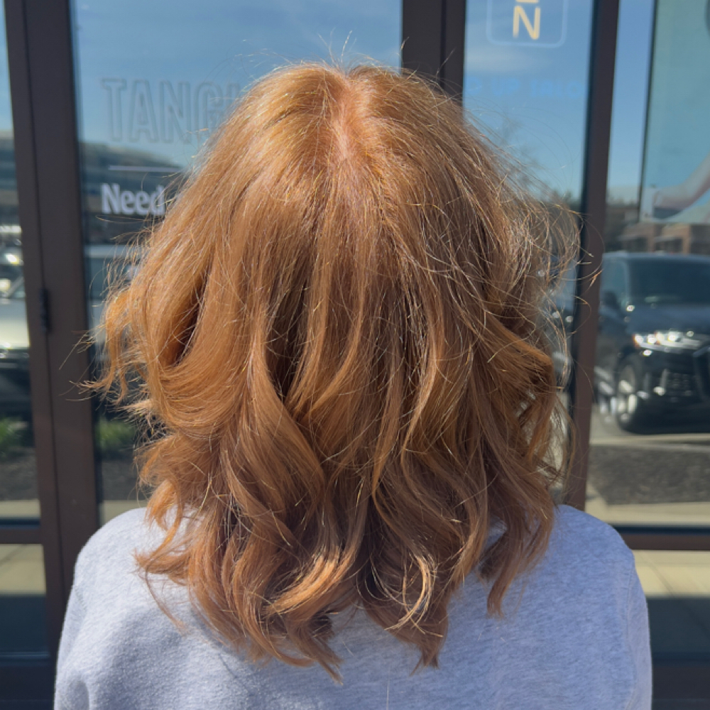 New Growth / Root Touch-Up at Beautiful By Gabi in Carmel, IN
