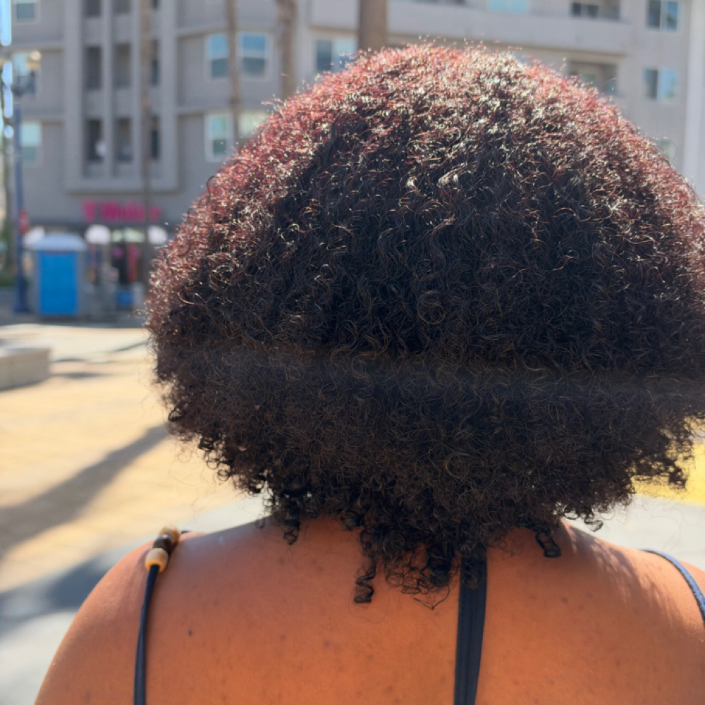 Natural Hair Coloring at LANTA SALON @ SALON ROW in Long Beach, CA