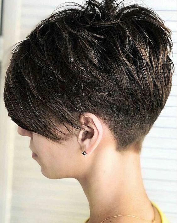 Express Haircut