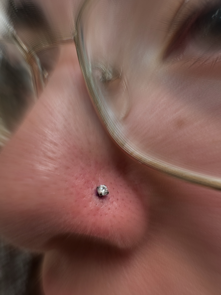 Nose (single) at Bodyart By Emerald Esme 🖤🕷️ in El Centro, CA
