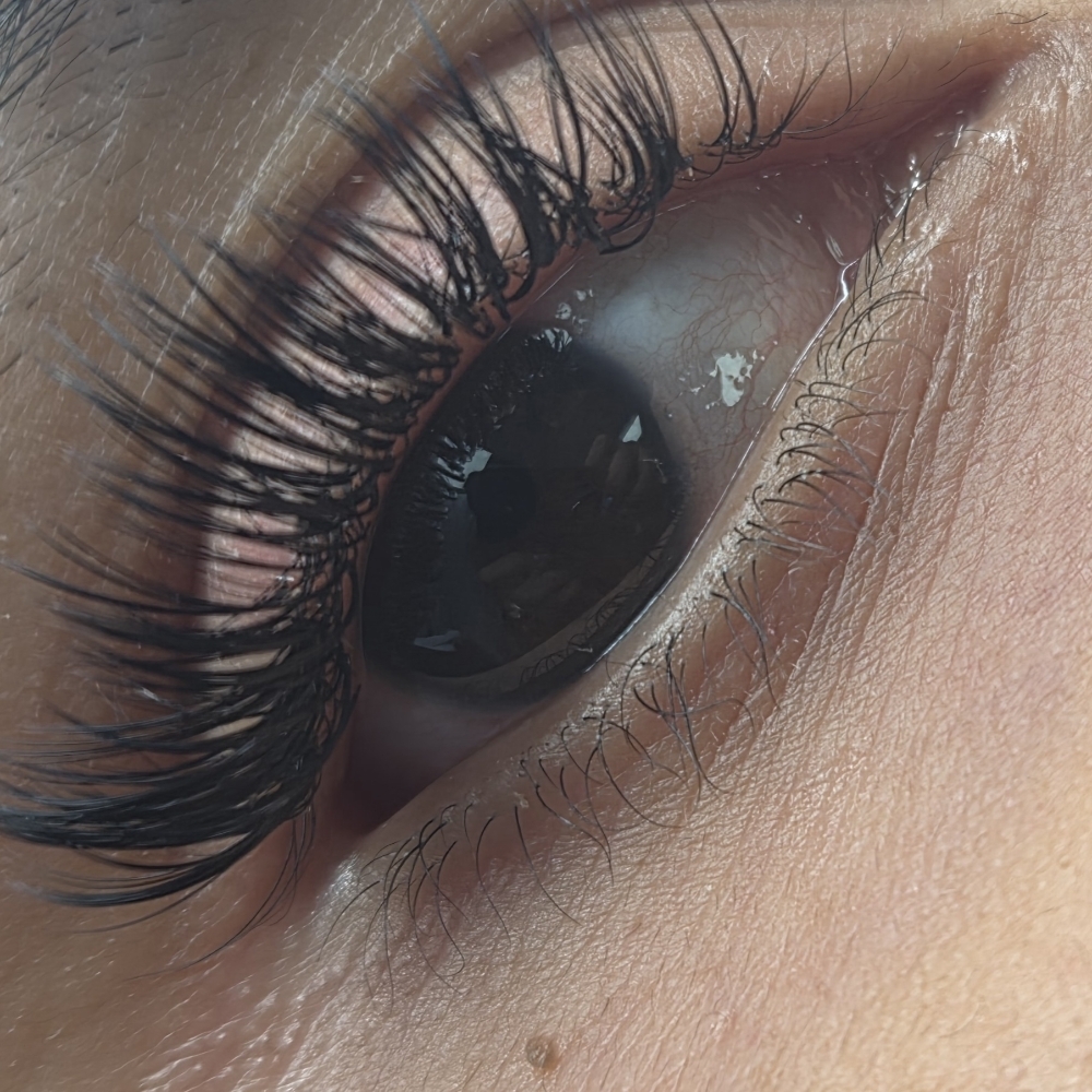 2 Week Wet Fill at Lalash Beauty studio in Pawtucket, RI