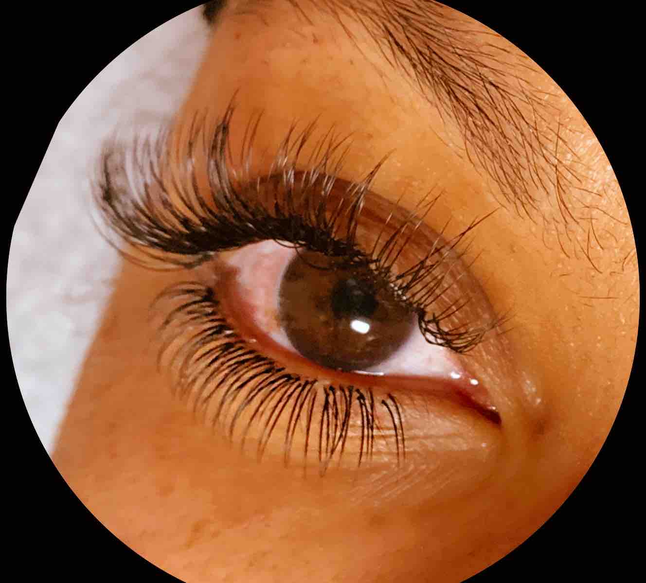 Bottom Lashes Full Set