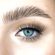 Eyebrow Lamination + Wax