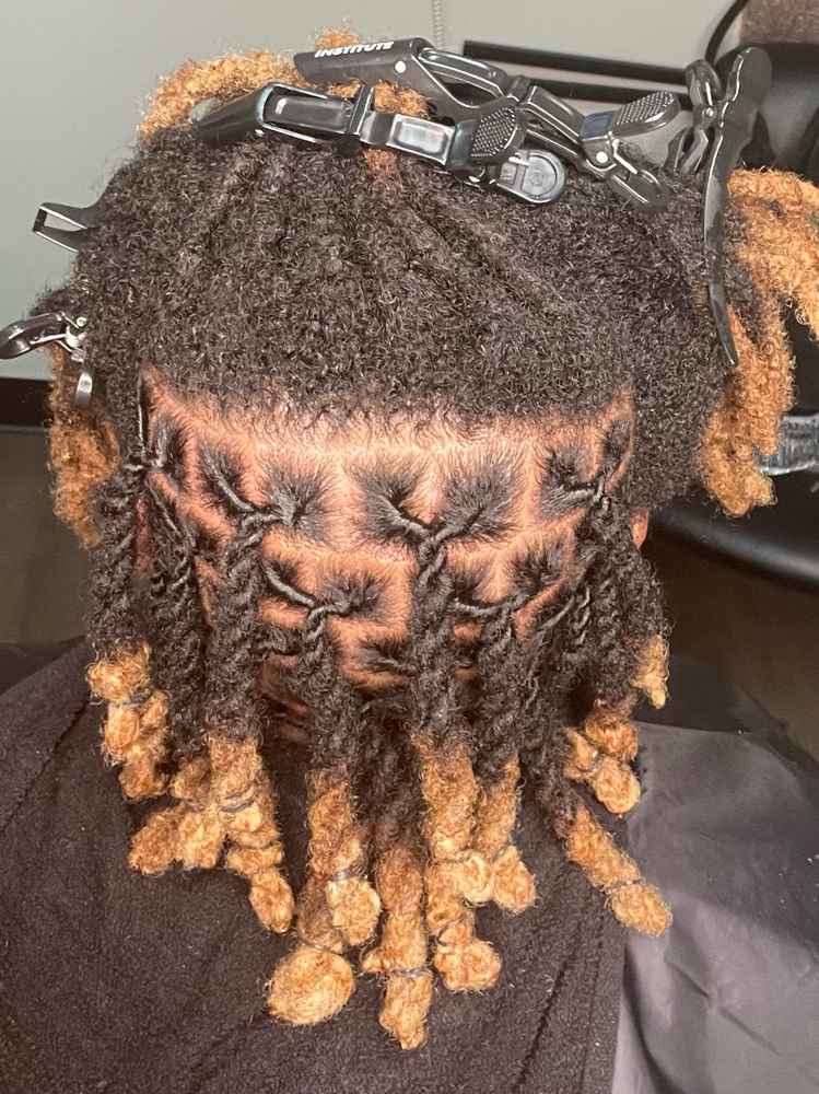 Traditional Loc Retwist