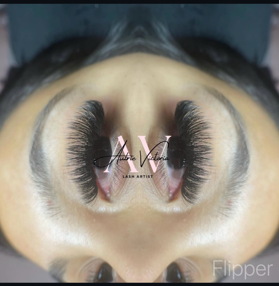 Volume Eyelash 3 Week Refill