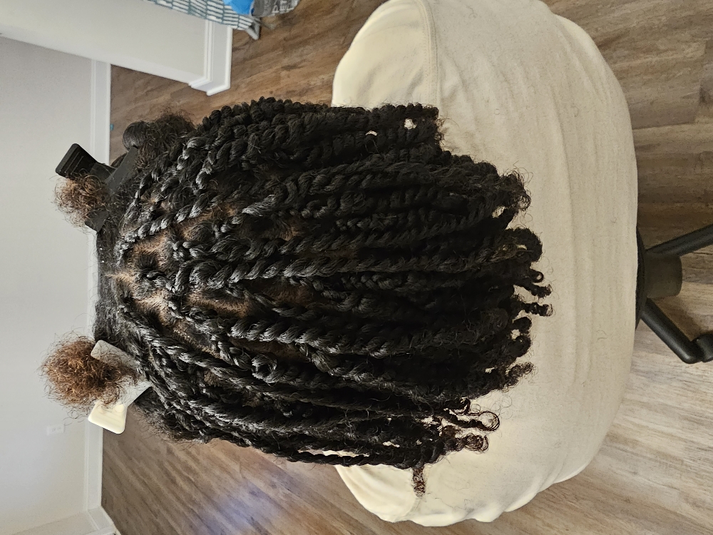 Twist (Natural Hair)