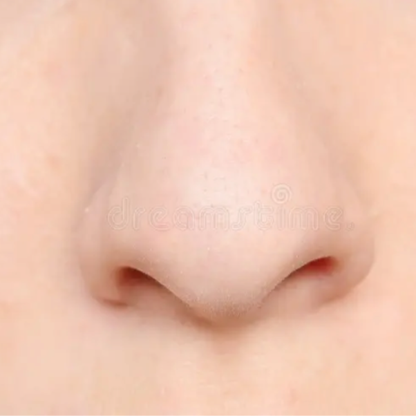 Nose at Fuzzy Peach in Boulder, CO