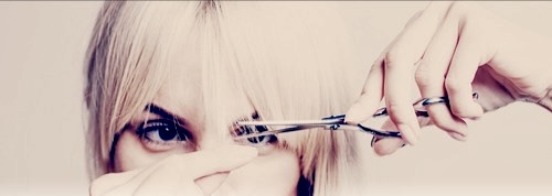 Fringe Trim