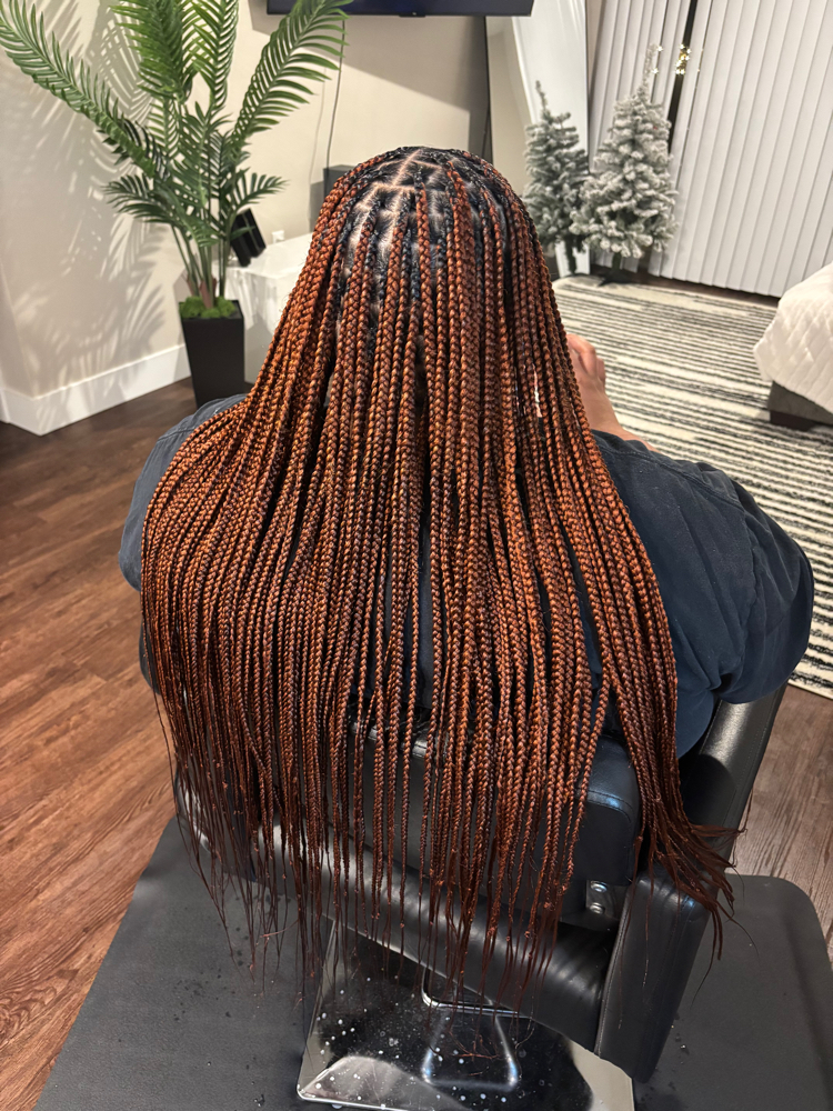 Small Knotless Braids 💕