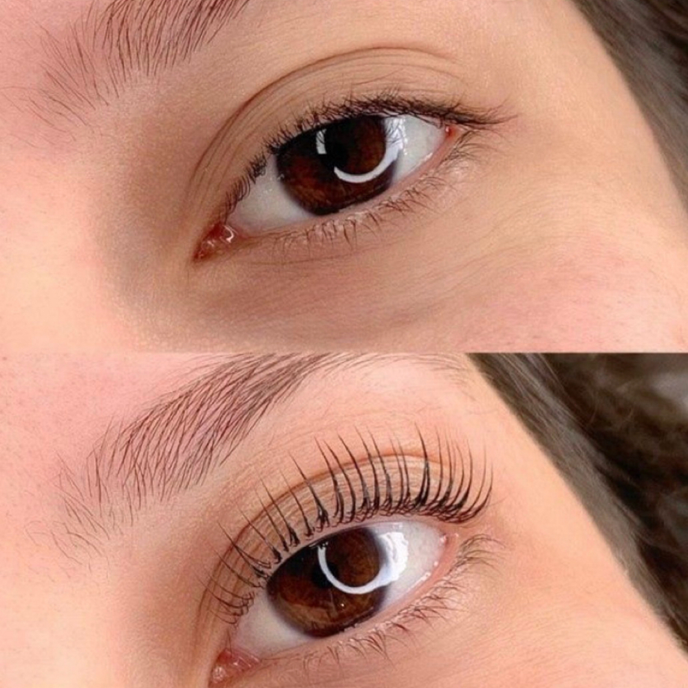 Lash Lift And Tint at The Shelton Studio in Shelbyville, TN