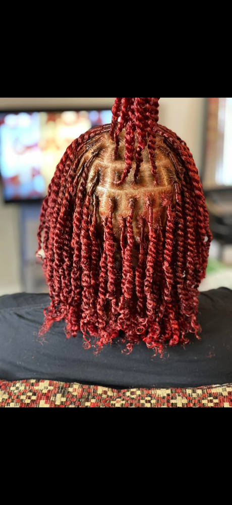 Starter Locs