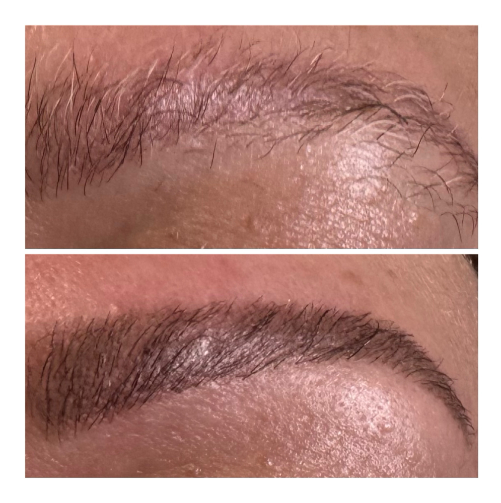 Brow Wax w/ Tint at Sanctuary Day Spa in Leland, NC