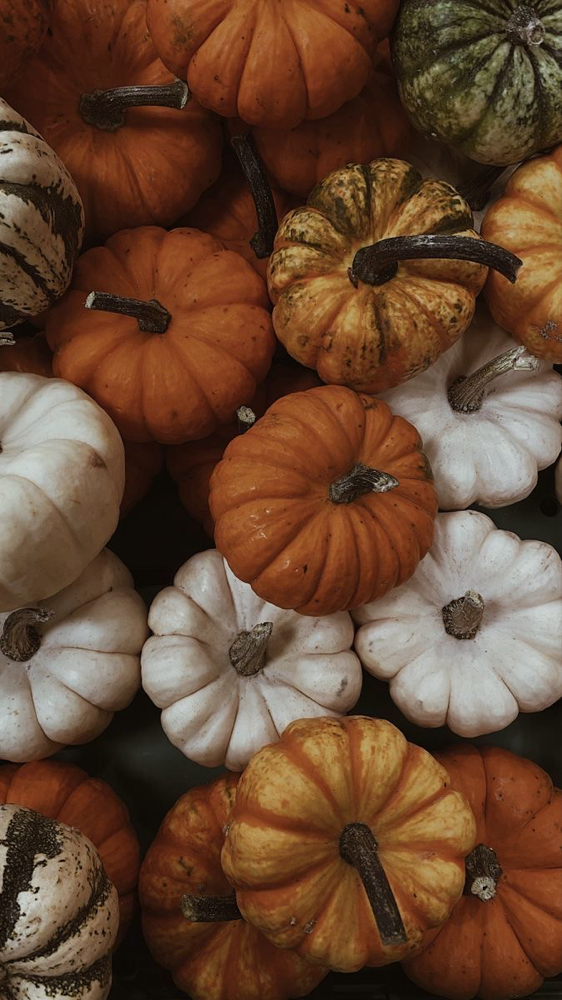 Seasonal Facials