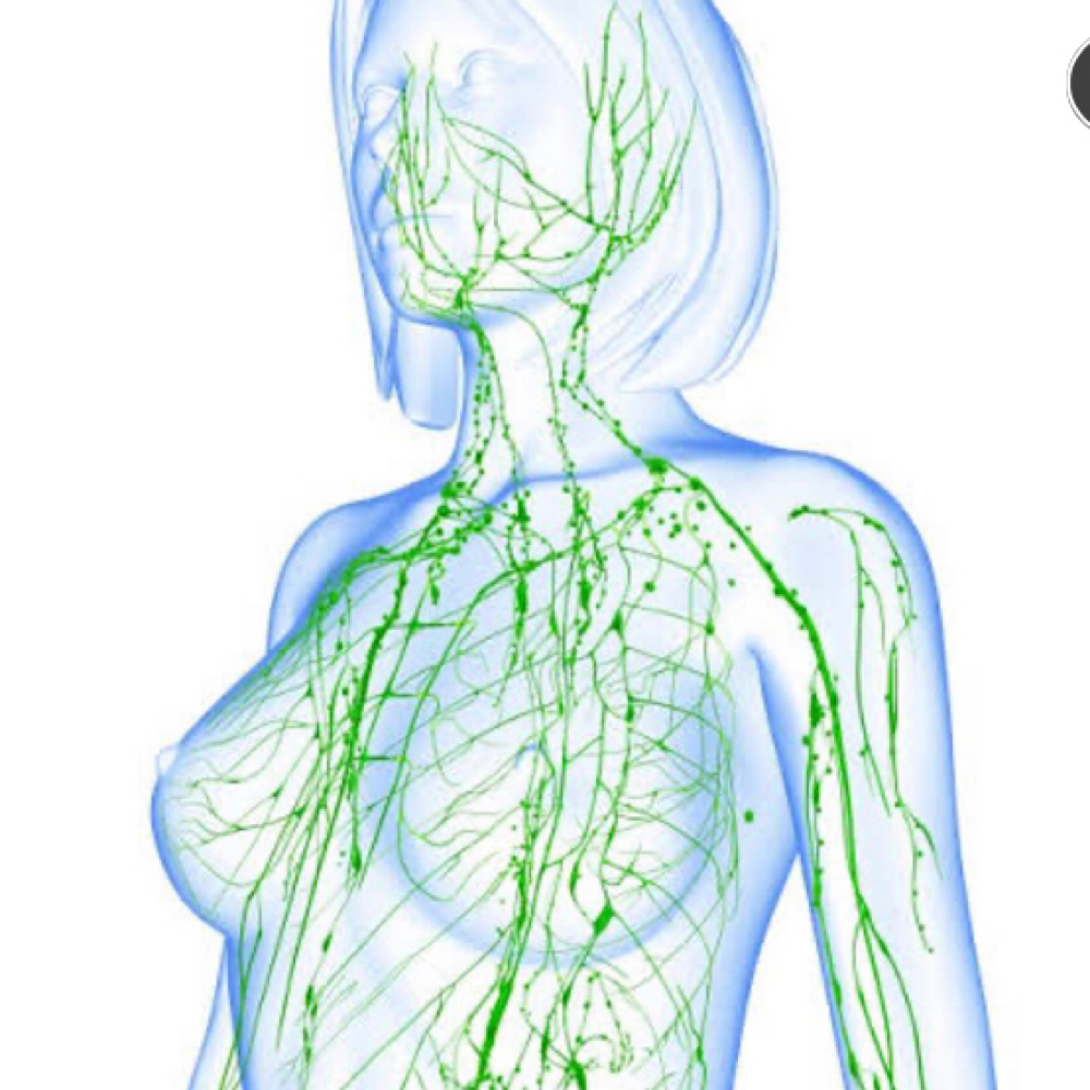 Abdomen Lymphatic (Not For Surgery) at Forever Amor Massage & Spa By Aneashia in Monroe, LA