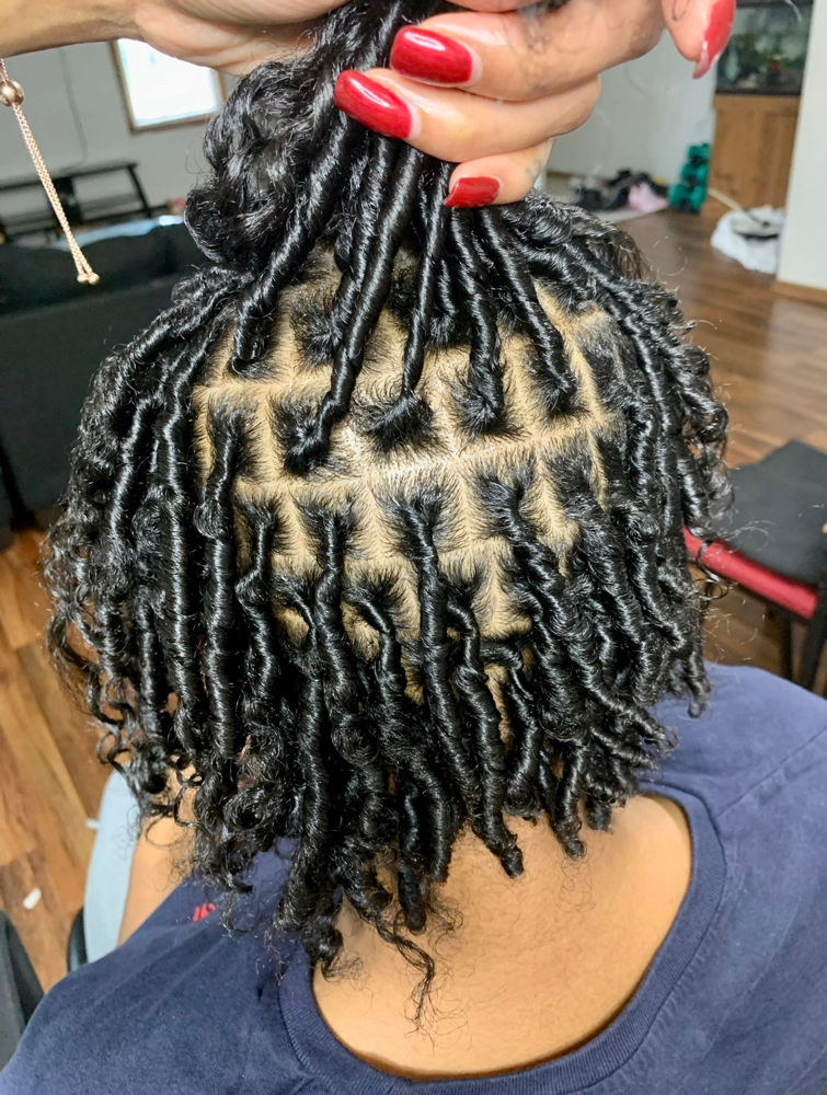 Starter Locs