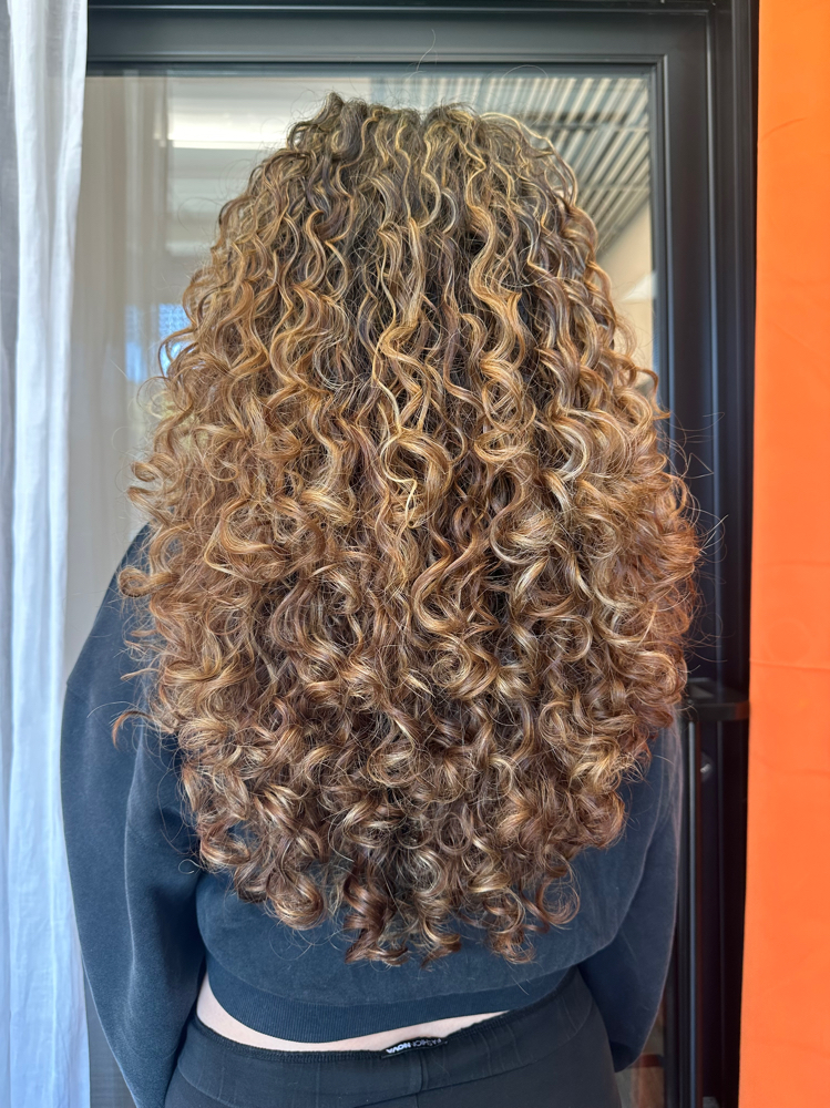 Curly Full Highlight