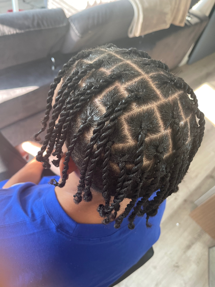 Two Strand Twists