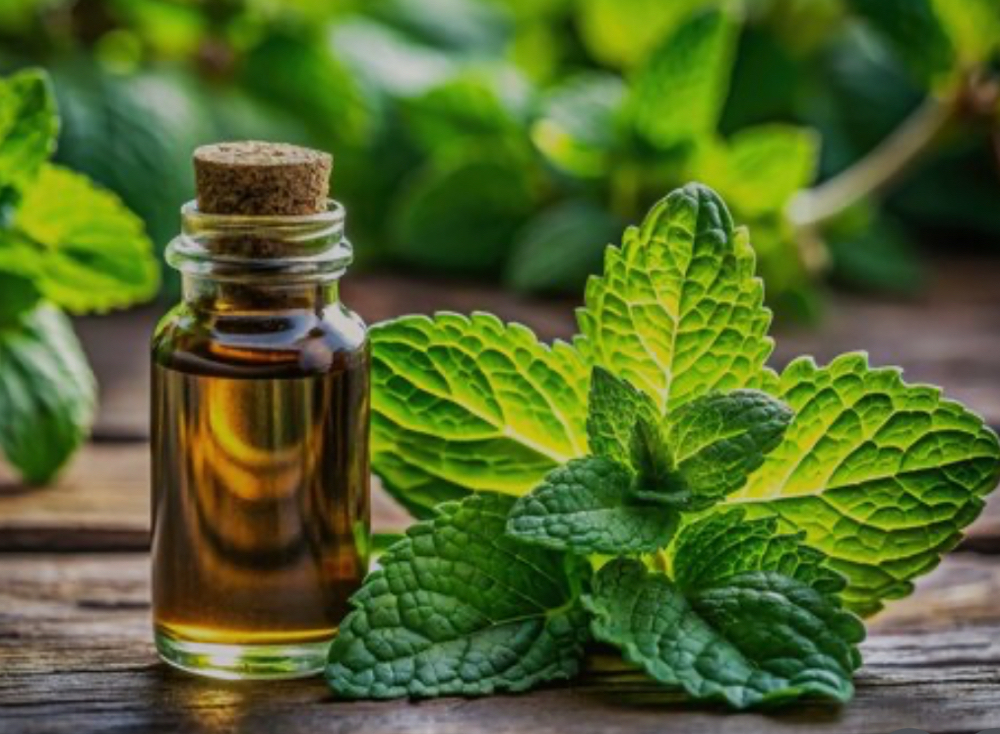ADD  Pepermint Foot Treatment