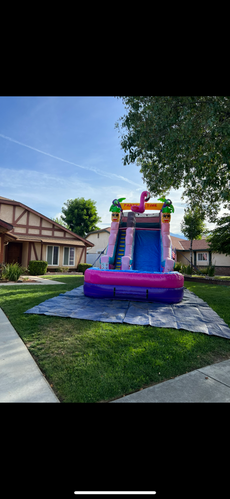 PINK FLAMINGO WATER SLIDE