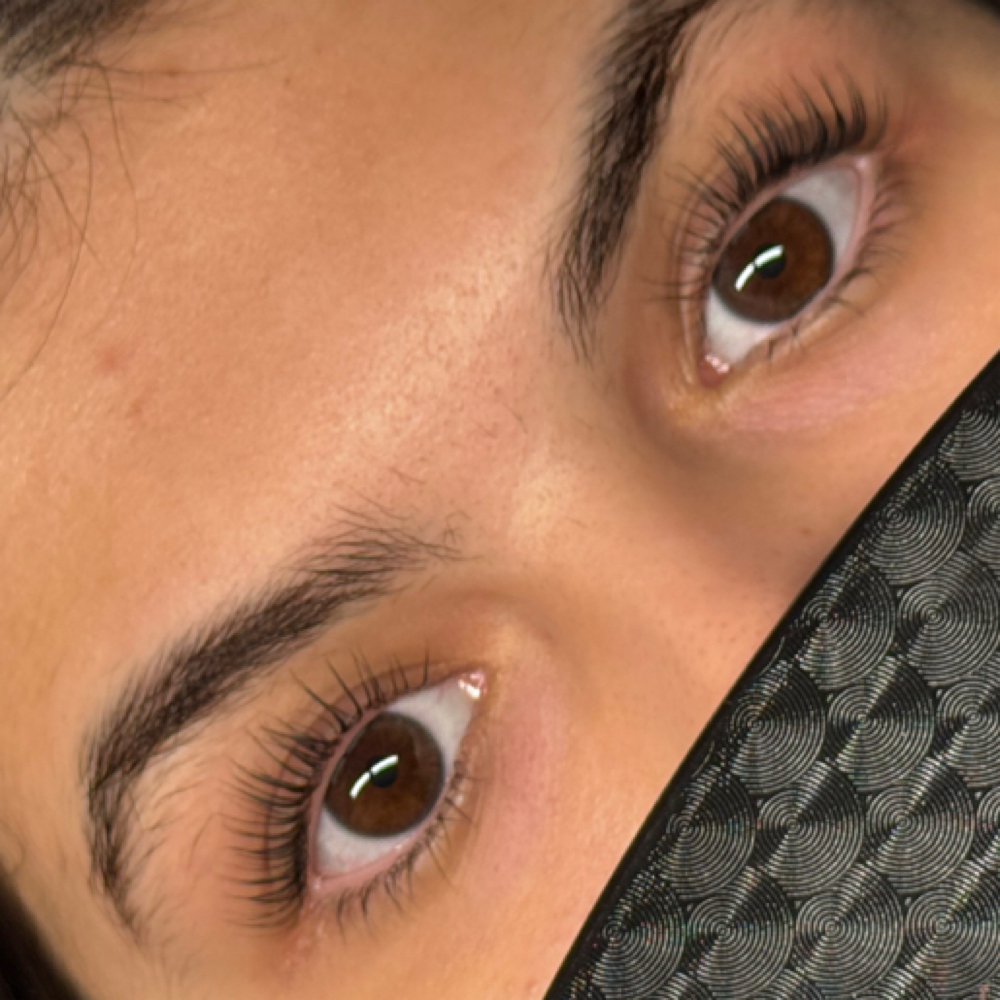 Korean Lash Lift + Tint at The Lash Den in East Providence, RI