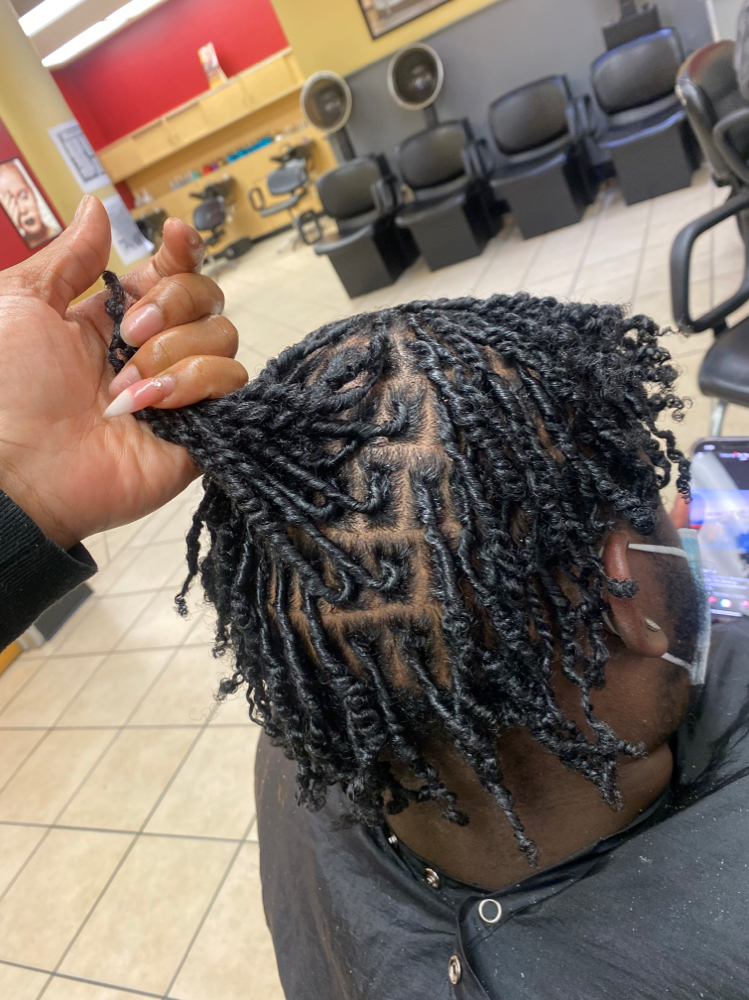 Smedium Starter Locs