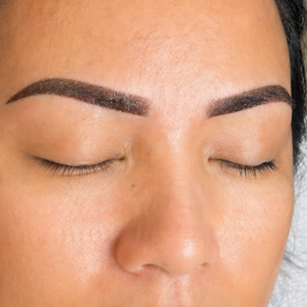 Powder Brows Consultation at Custom Brows & Glam Studio in Jupiter, FL