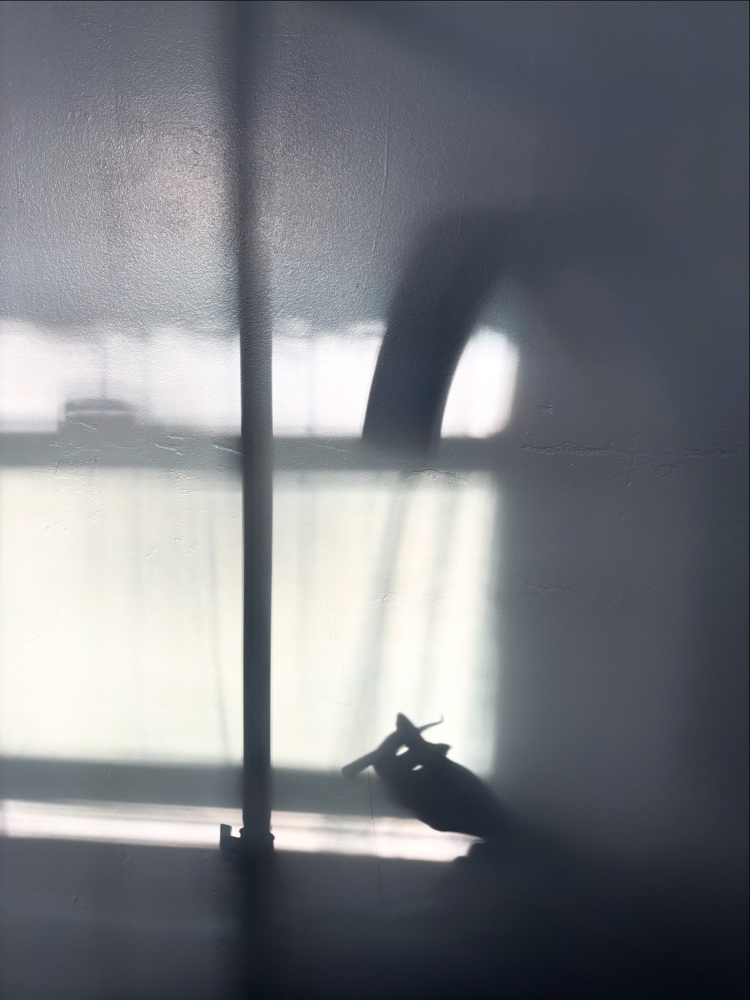 Mixed Volume Full Set