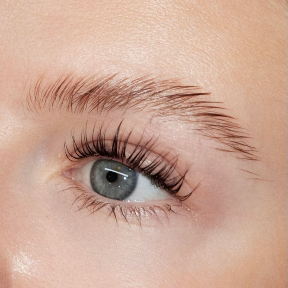 Pro Lash Lift Certification at Mesh Beauty in Beverly Grove, CA