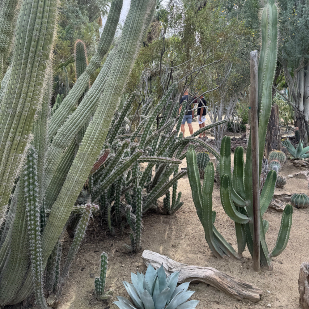 Balayage at Indigo Salon @ Beaumont in Lexington, KY