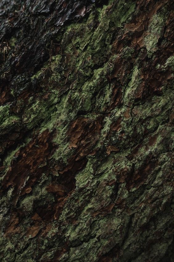 Sept Special - Green Power Reset