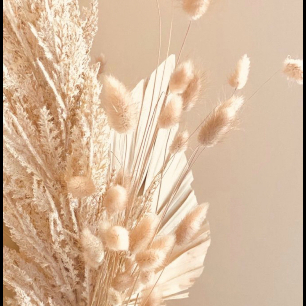 Basic Pedicure With Regular Polish at Polished in Los Osos, CA