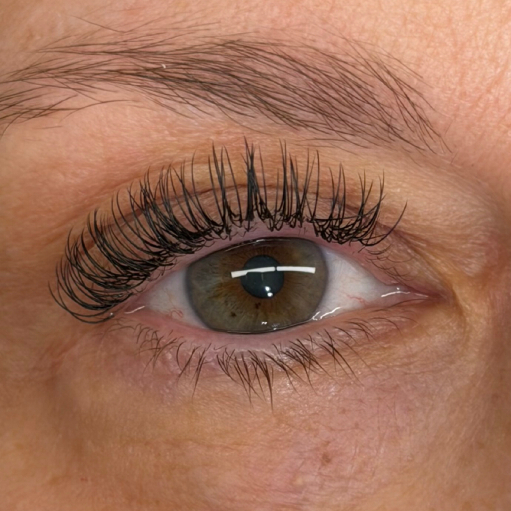 Classic Lash 2-Week Fill at Dreamy Esthetics in Cortland, NY