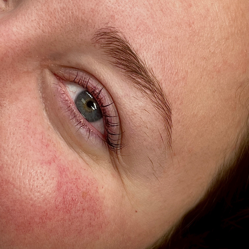 Lash Lift at Salon Niche in Knoxville, TN