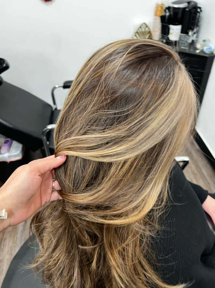 Partial Balayage with Haircut