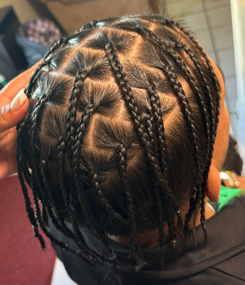 Medium Natural Box Braids