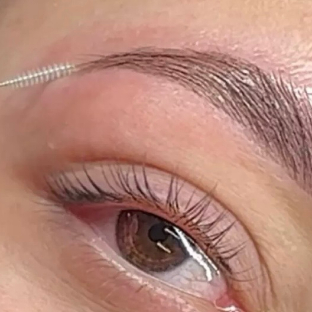 Eyebrow Lamination at Illuminate Advanced Skin Care in Leola, PA
