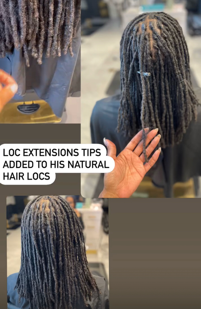 Traditional loc Tips
